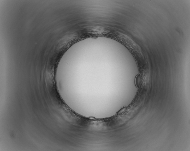 X0000112170376200908211431