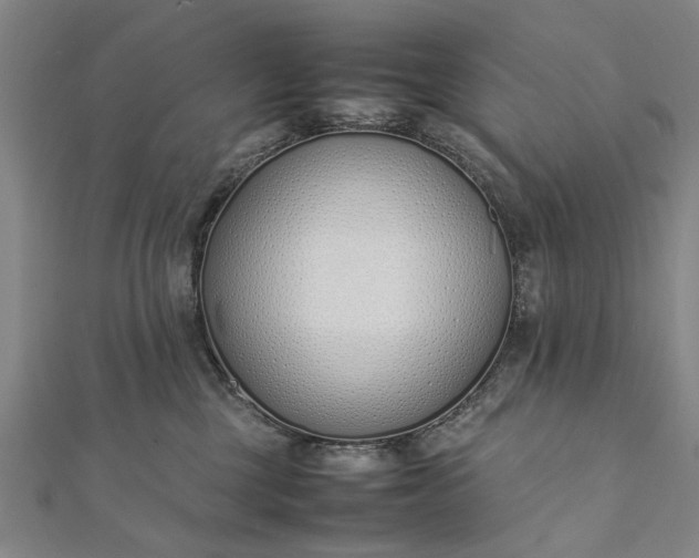 X0000112170377200908211431