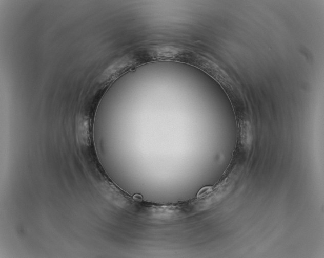 X0000112170378200908211431