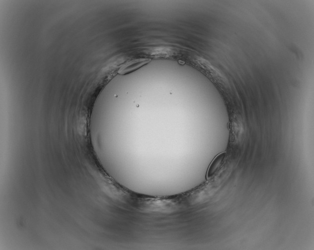 X0000112170379200908211431