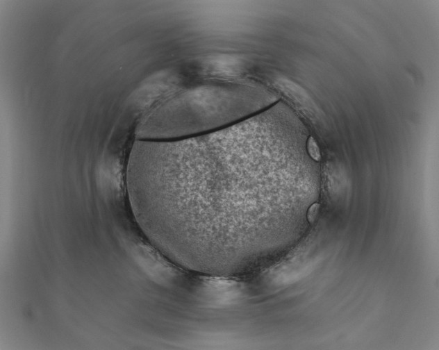 X0000112170380200908211431