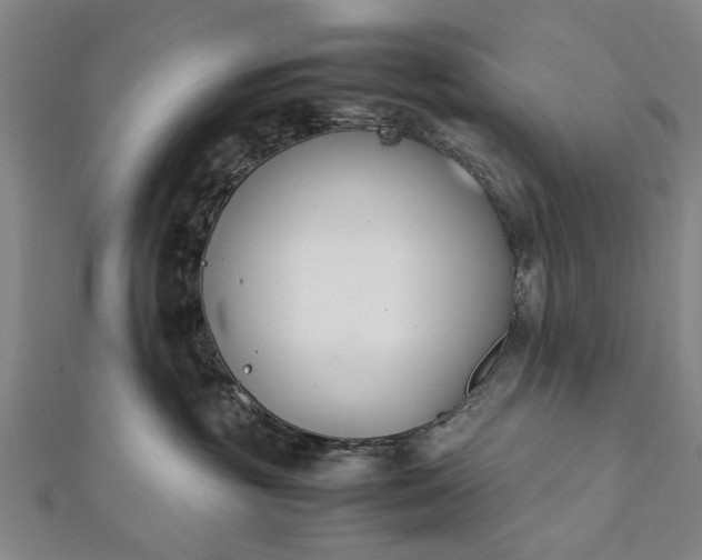 X0000112170381200908211431