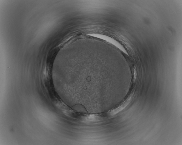 X0000112170382200908211431