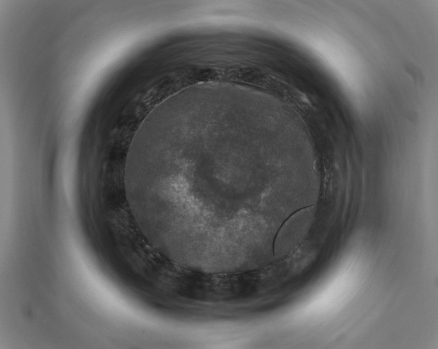 X0000112170383200908211431