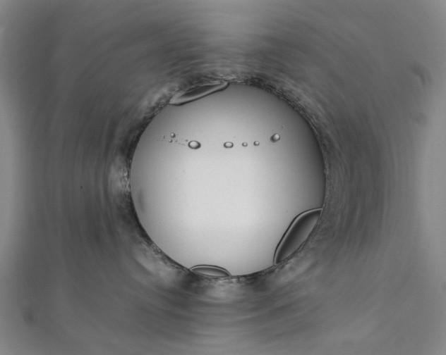 X0000112170384200908211431