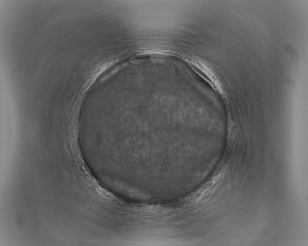 X0000112170385200908211431