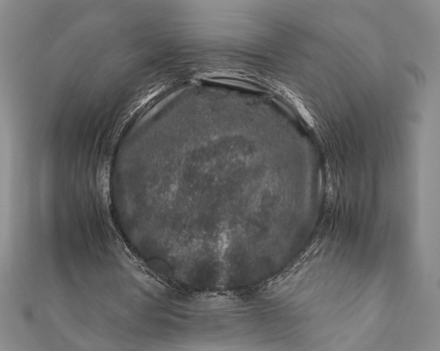 X0000112170386200908211431