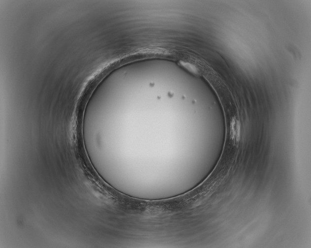 X0000112170388200908211431