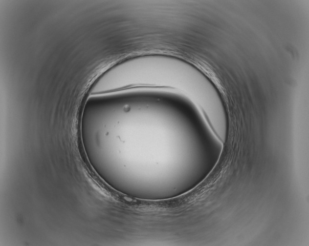 X0000112170389200908211431