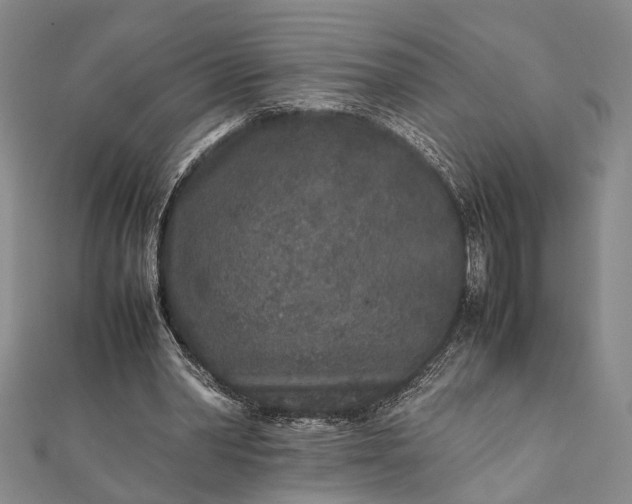 X0000112170390200908211431