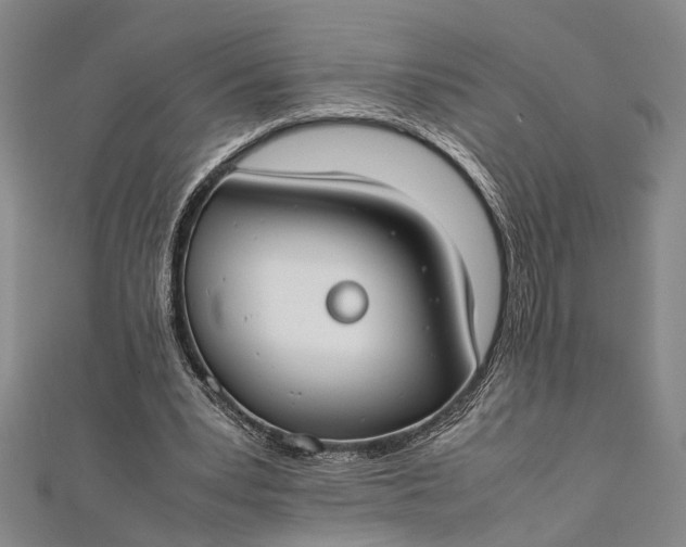 X0000112170391200908211431