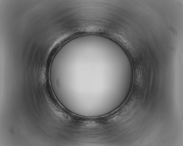 X0000112170392200908211431