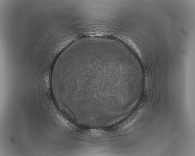 X0000112170393200908211431