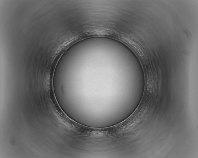 X0000112170394200908211431