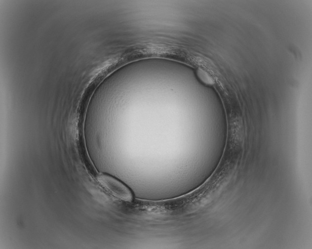 X0000112170395200908211431