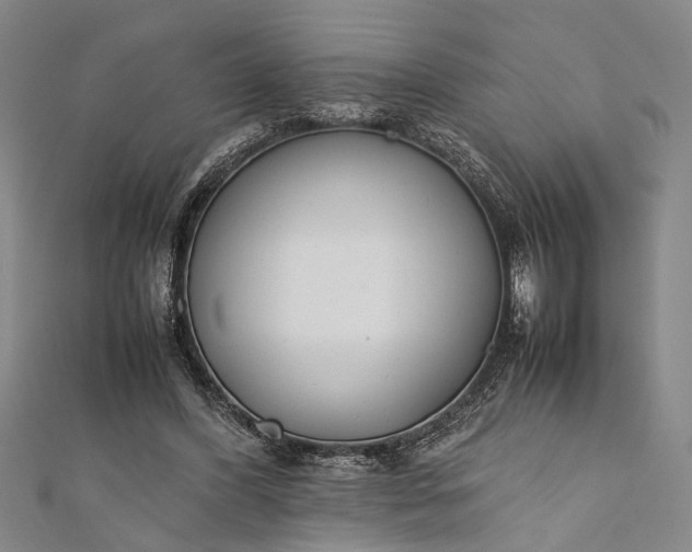 X0000112170396200908211431