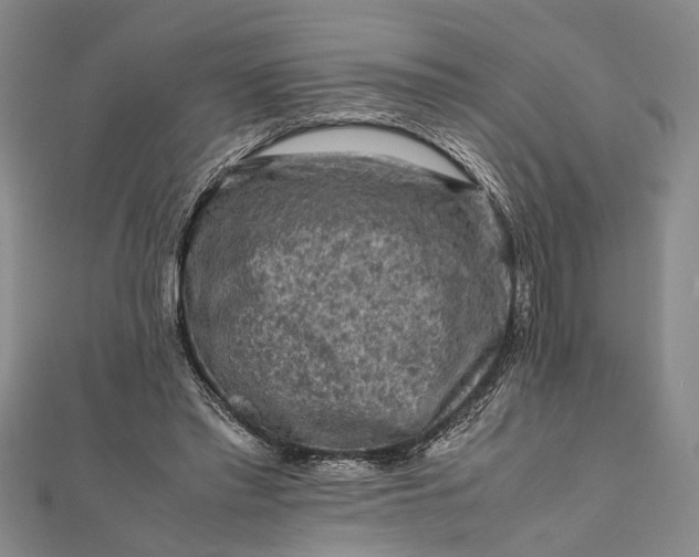 X0000112170397200908211431