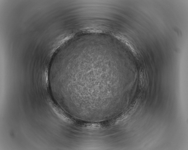 X0000112170398200908211431