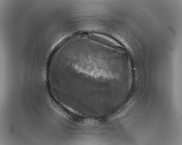 X0000112170399200908211431