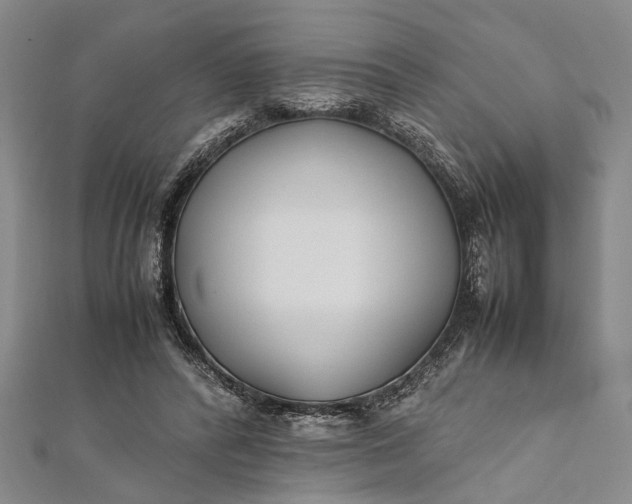 X0000112170400200908211431