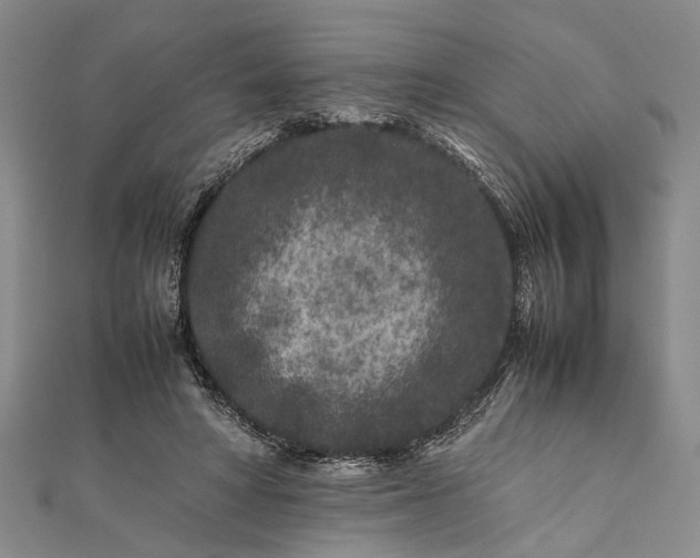 X0000112170402200908211431