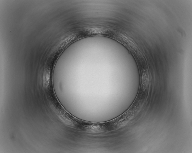 X0000112170406200908211431