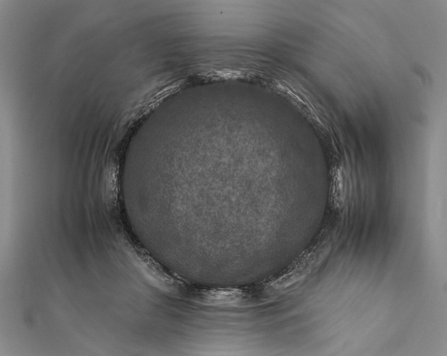 X0000112170410200908211430