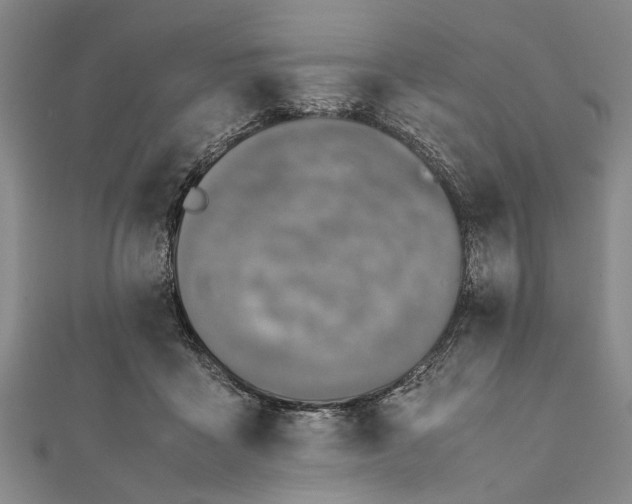 X0000112170411200908211430