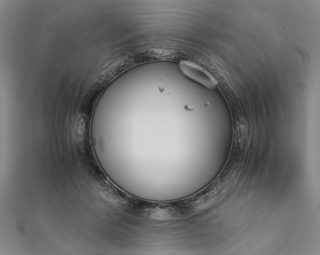 X0000112170412200908211430