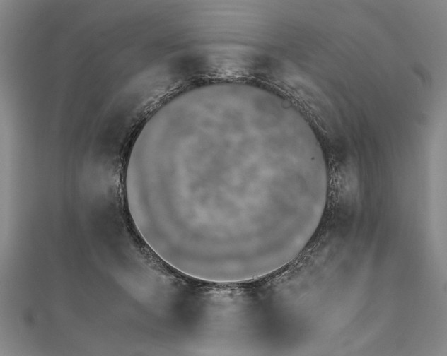 X0000112170415200908211430