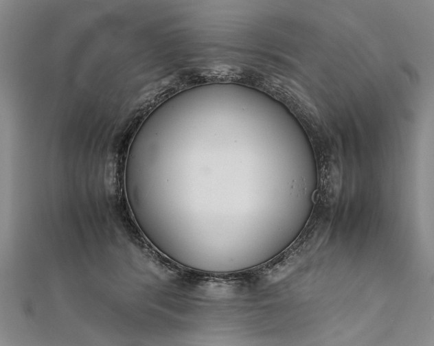 X0000112170416200908211430