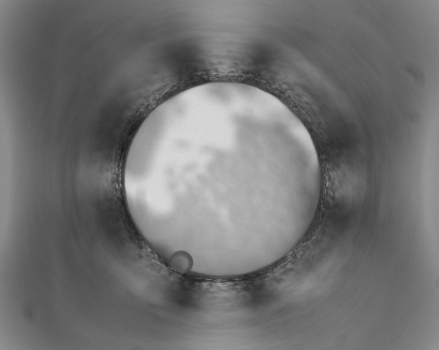 X0000112170419200908211430