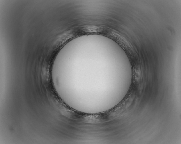 X0000112170422200908211430