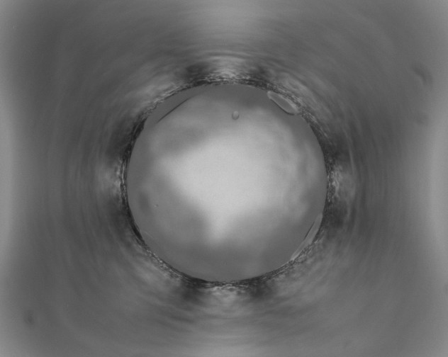 X0000112170423200908211430