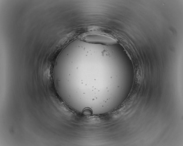 X0000112170424200908211430