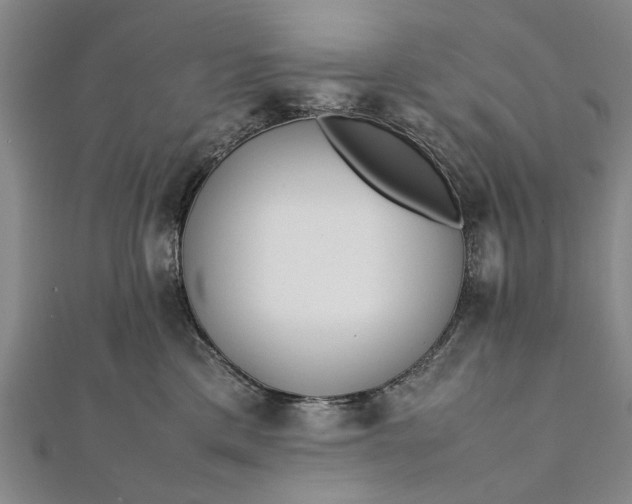 X0000112170425200908211430