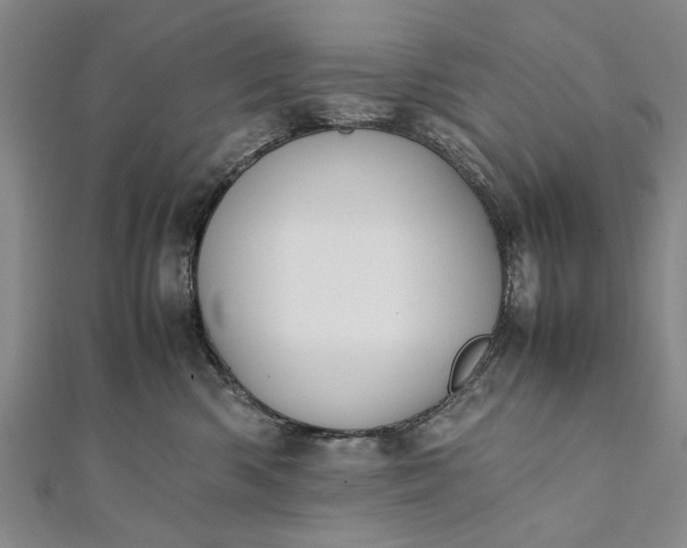 X0000112170426200908211430