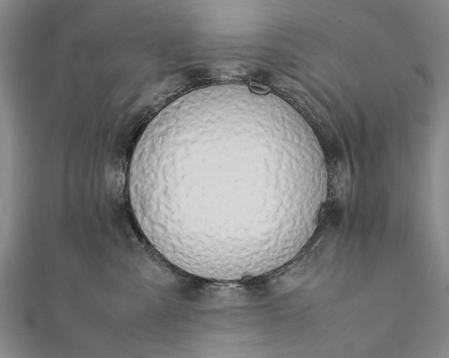 X0000112170427200908211430