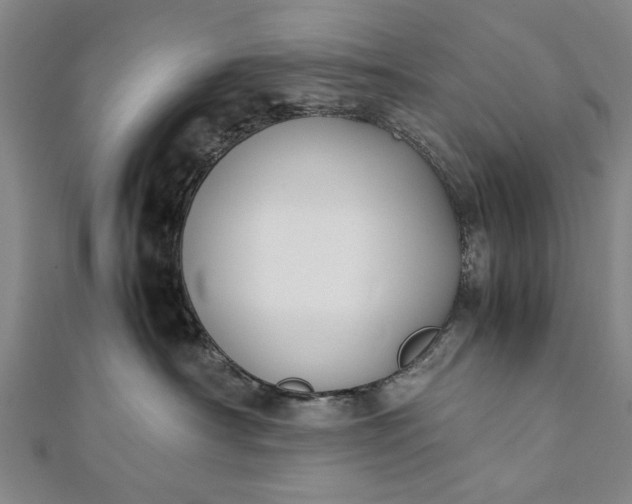 X0000112170430200908211430