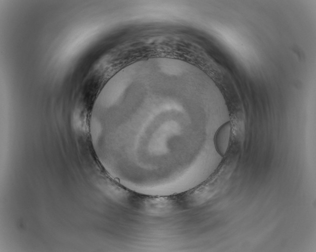 X0000112170431200908211430