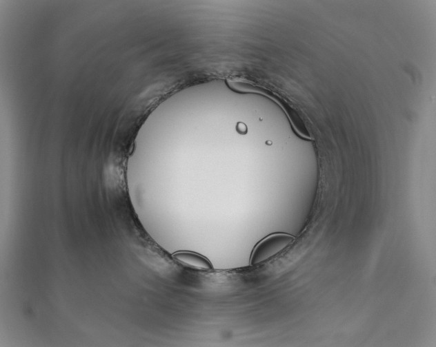 X0000112170432200908211430