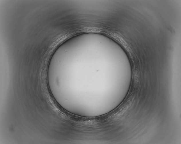 X0000112170433200908211429