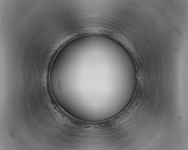 X0000112170434200908211429