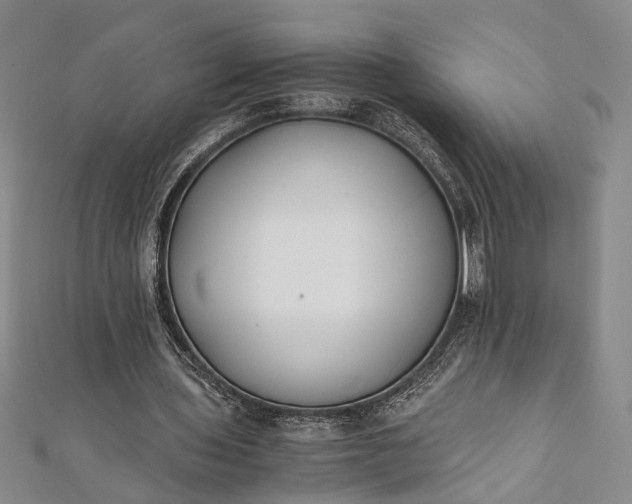 X0000112170435200908211429