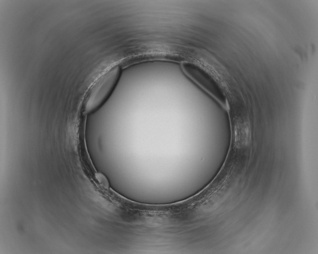 X0000112170436200908211429