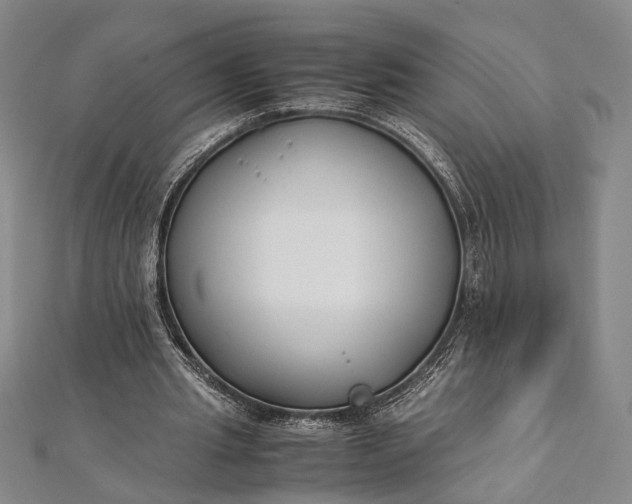 X0000112170437200908211429