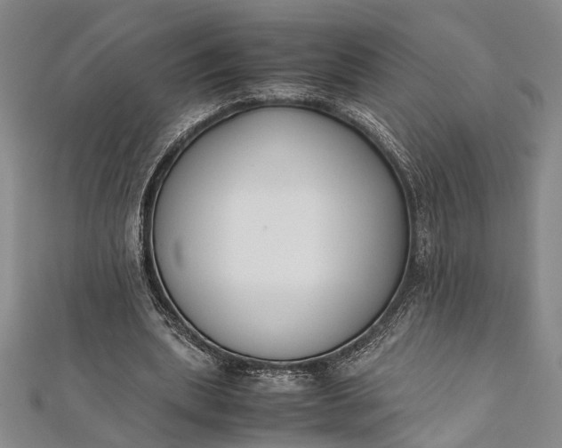 X0000112170439200908211430