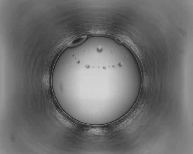 X0000112170441200908211430