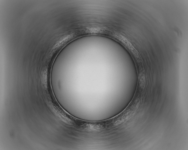 X0000112170442200908211430