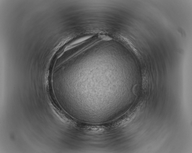 X0000112170443200908211430